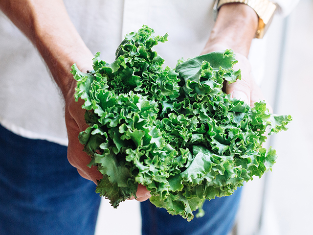 Man holding fresh lettuce